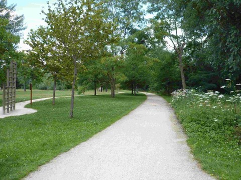 sentier dans le parc, entouré d'arbres et d'un agrès du parcours sportif